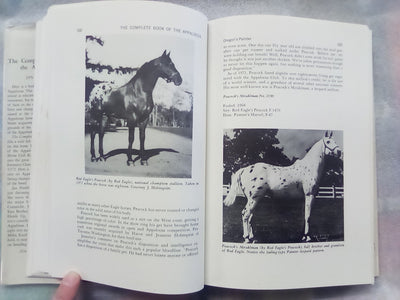 The Complete Book of the Appaloosa by Jan Haddle