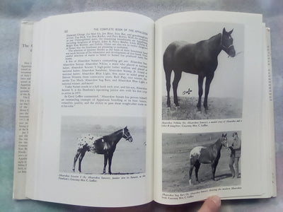 The Complete Book of the Appaloosa by Jan Haddle