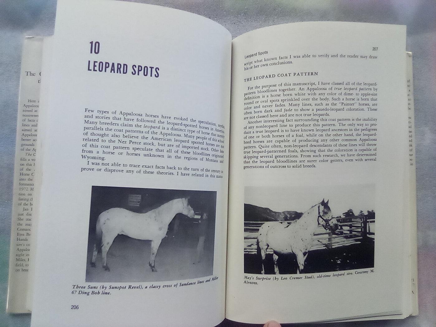 The Complete Book of the Appaloosa by Jan Haddle