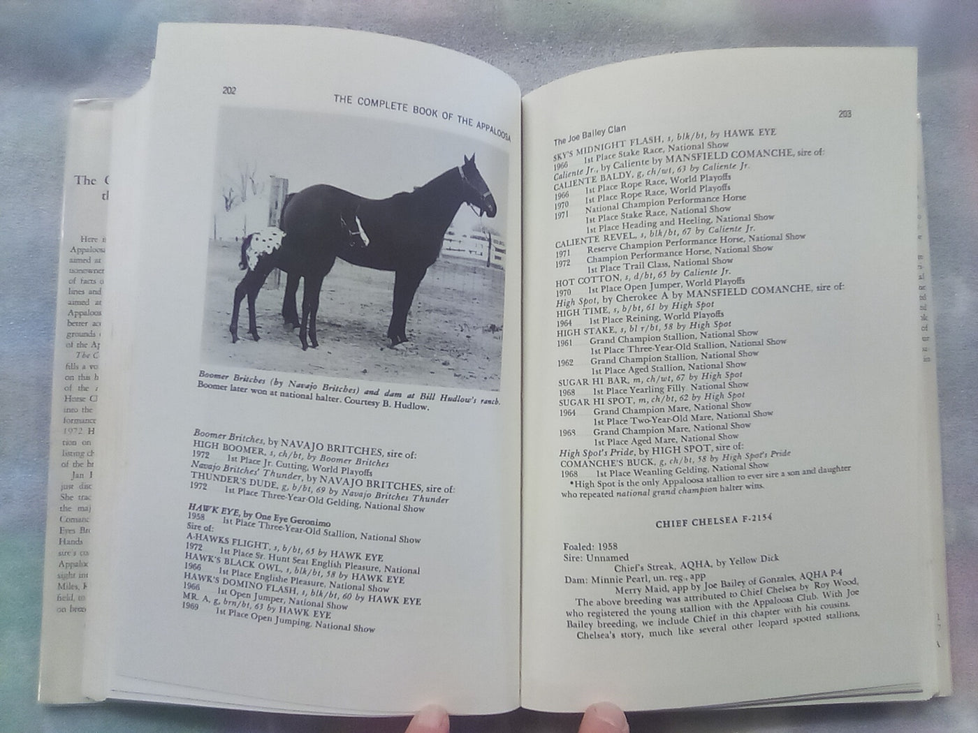 The Complete Book of the Appaloosa by Jan Haddle