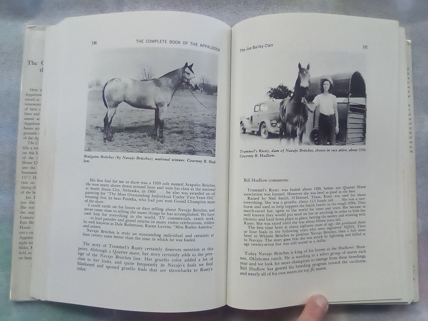 The Complete Book of the Appaloosa by Jan Haddle