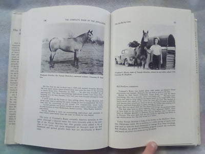 The Complete Book of the Appaloosa by Jan Haddle