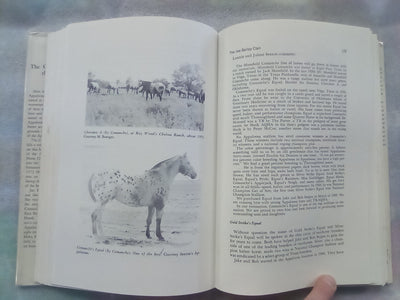 The Complete Book of the Appaloosa by Jan Haddle