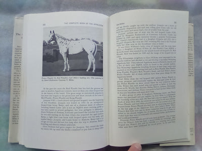 The Complete Book of the Appaloosa by Jan Haddle