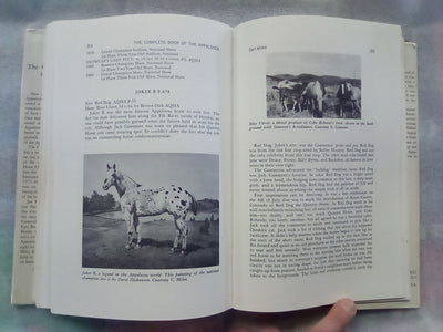 The Complete Book of the Appaloosa by Jan Haddle