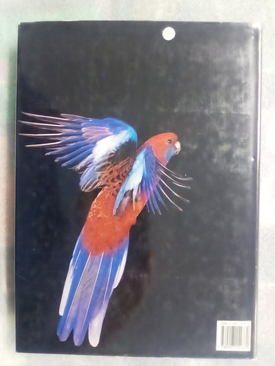 Parrots & Pigeons of Australia - Index of Australian Wildlife