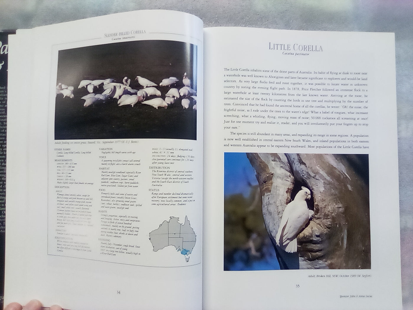 Parrots & Pigeons of Australia - Index of Australian Wildlife