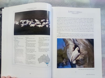 Parrots & Pigeons of Australia - Index of Australian Wildlife