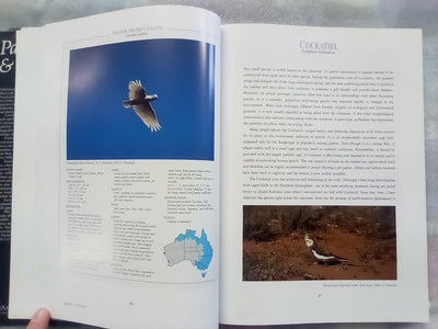 Parrots & Pigeons of Australia - Index of Australian Wildlife