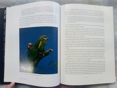 Parrots & Pigeons of Australia - Index of Australian Wildlife