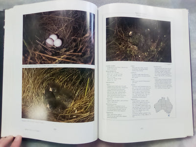 Parrots & Pigeons of Australia - Index of Australian Wildlife