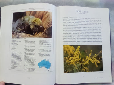 Parrots & Pigeons of Australia - Index of Australian Wildlife