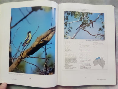 Parrots & Pigeons of Australia - Index of Australian Wildlife