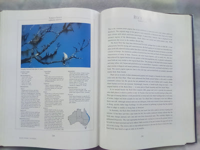 Parrots & Pigeons of Australia - Index of Australian Wildlife