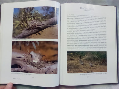 Parrots & Pigeons of Australia - Index of Australian Wildlife