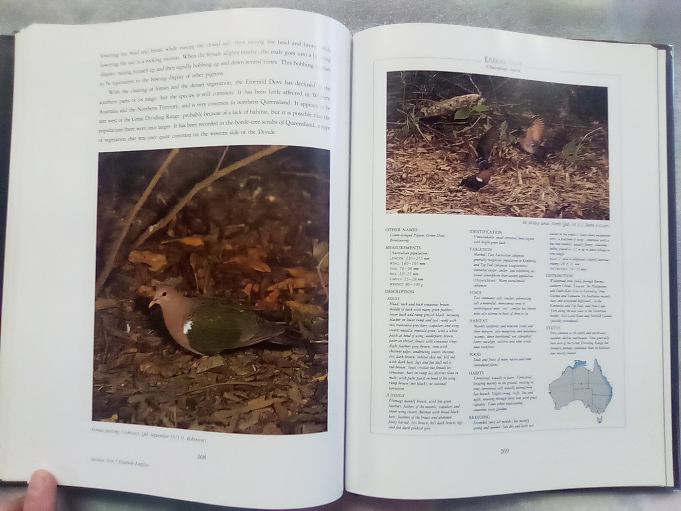 Parrots & Pigeons of Australia - Index of Australian Wildlife