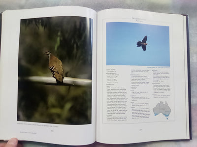 Parrots & Pigeons of Australia - Index of Australian Wildlife