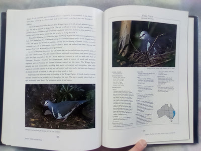 Parrots & Pigeons of Australia - Index of Australian Wildlife