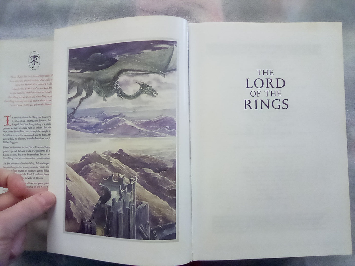 The Lord of the Rings by J.R.R. Tolkien Illustrated by Alan Lee Hardback (1991)