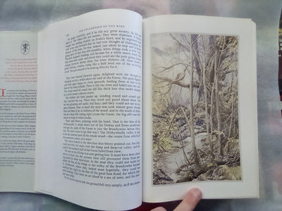 The Lord of the Rings by J.R.R. Tolkien Illustrated by Alan Lee Hardback (1991)
