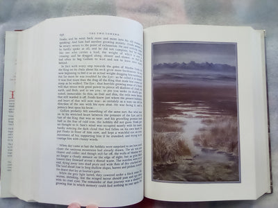 The Lord of the Rings by J.R.R. Tolkien Illustrated by Alan Lee Hardback (1991)