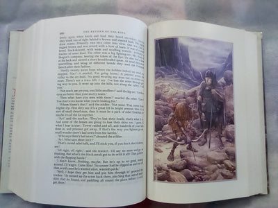 The Lord of the Rings by J.R.R. Tolkien Illustrated by Alan Lee Hardback (1991)