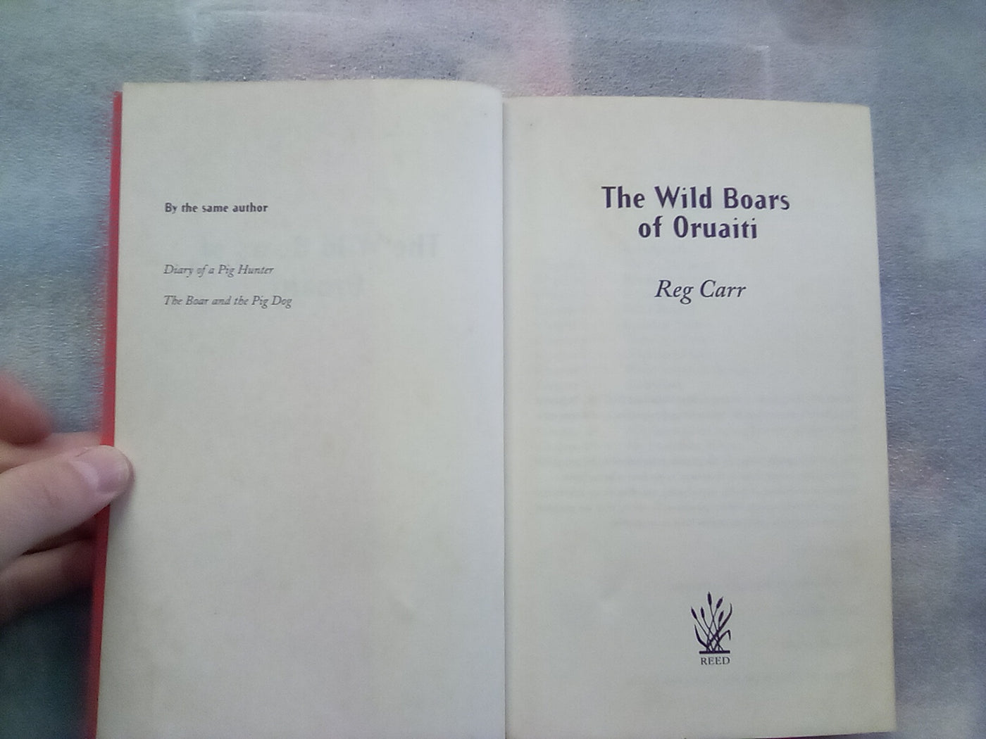 The Wild Boars of the Oruaiti by Reg Carr