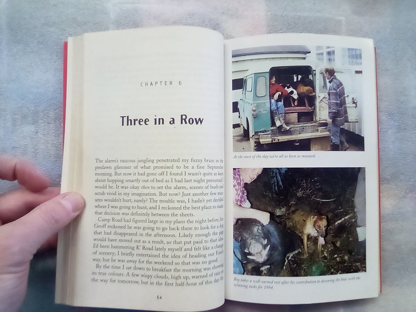 The Wild Boars of the Oruaiti by Reg Carr