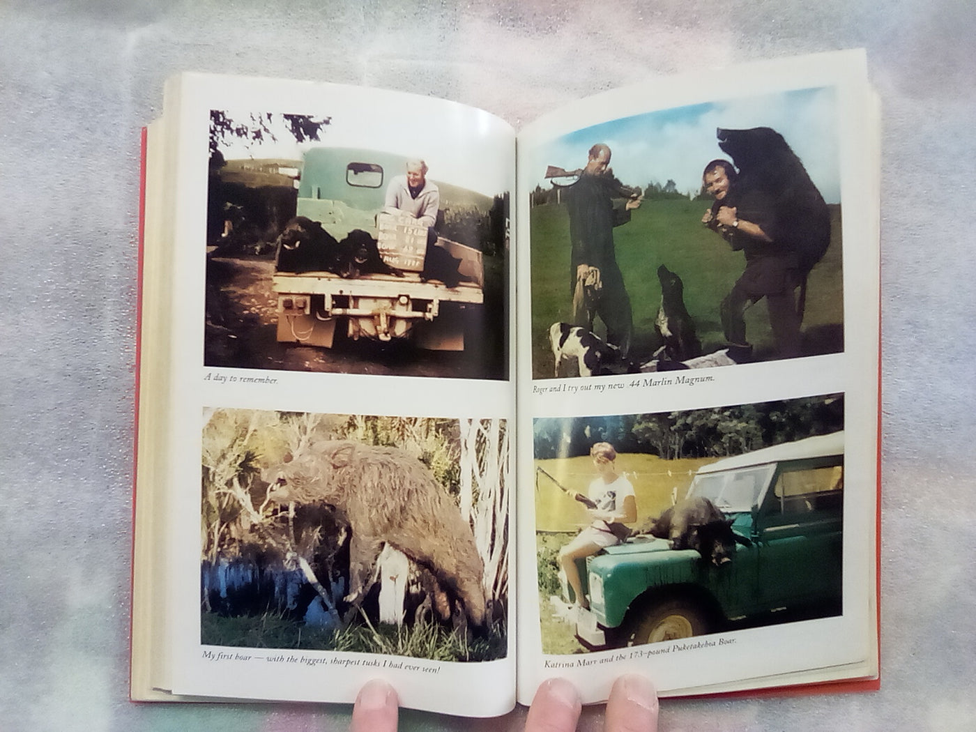 The Wild Boars of the Oruaiti by Reg Carr