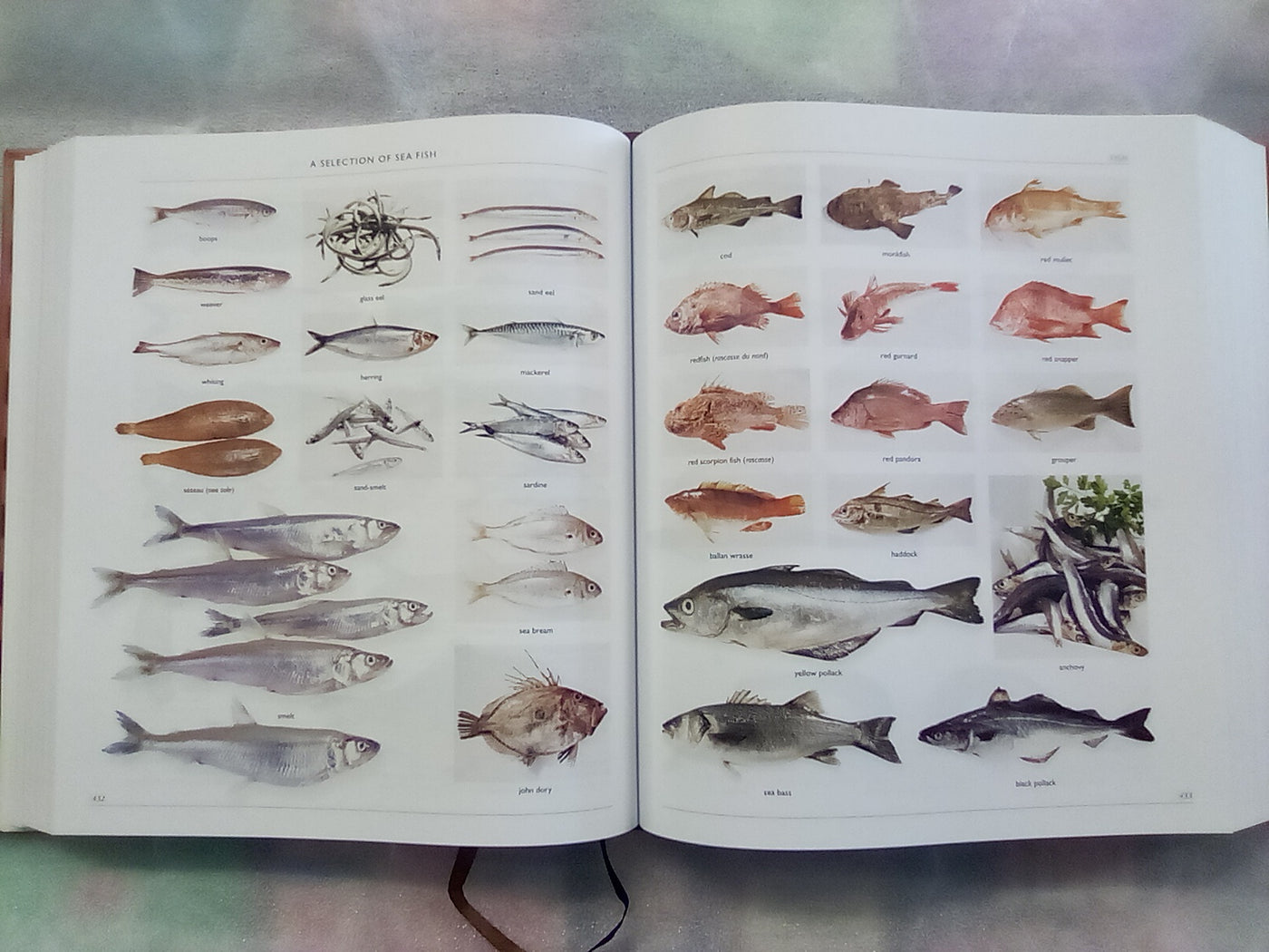 Larousse Gastronomique - 2009 edition in Slipcase