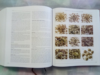 Larousse Gastronomique - 2009 edition in Slipcase