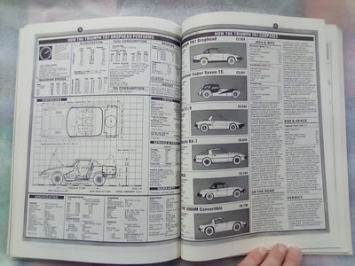 Triumph TR7 & TR8 1975-1982 (Brooklands)