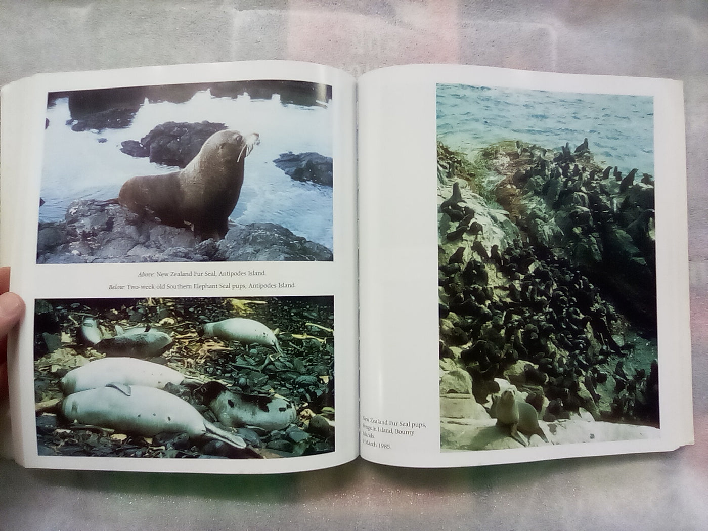 Straight Through from London - The Antipodes & Bounty Islands (Signed Copy)