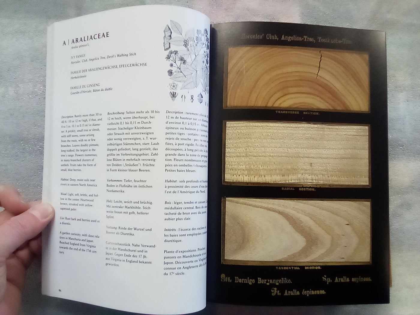 The Woodbook - The Complete Plates
