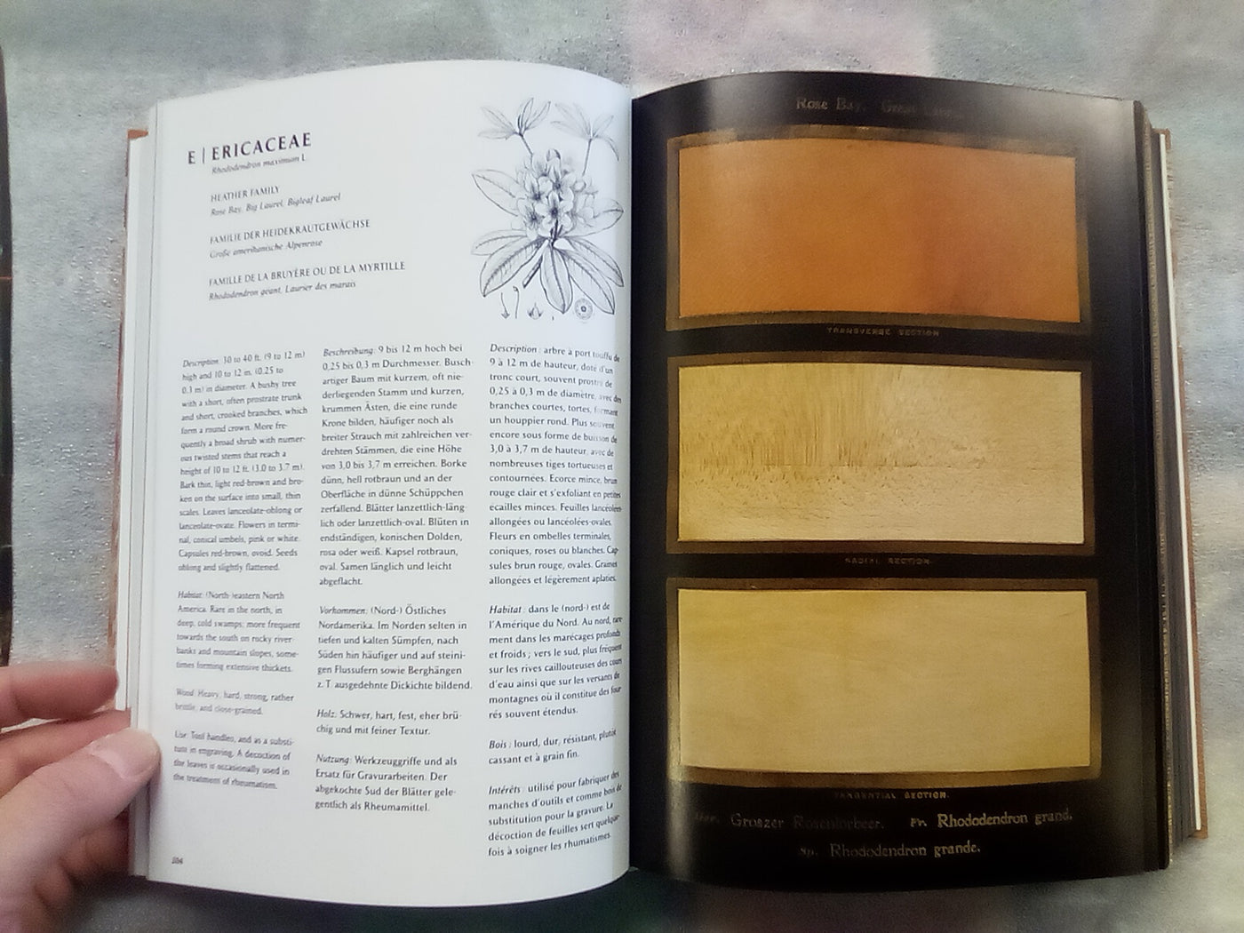 The Woodbook - The Complete Plates