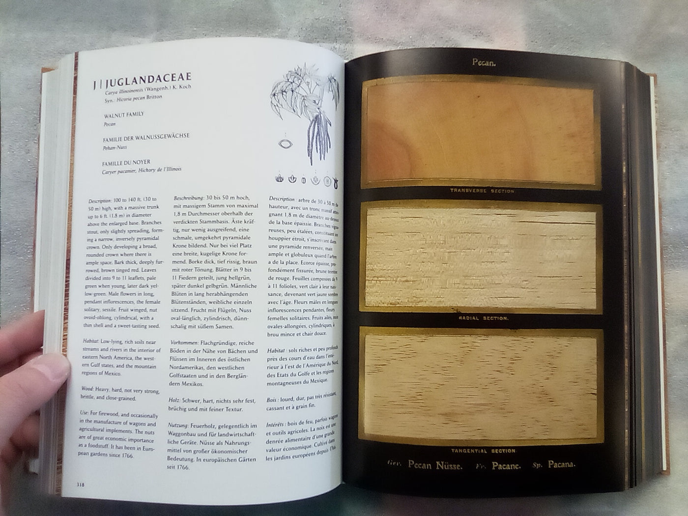 The Woodbook - The Complete Plates