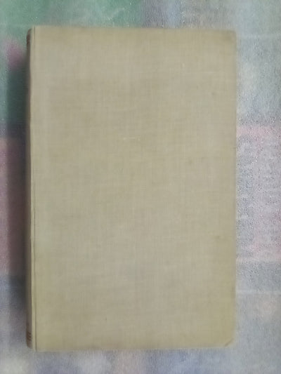 Old Christchurch (1949) by Johannes C. Andersen