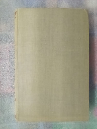 Old Christchurch (1949) by Johannes C. Andersen