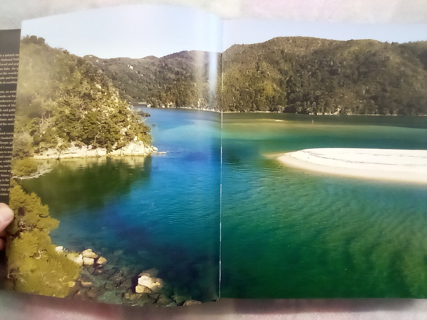 Down The Bay - A Natural & Cultural History of Abel Tasman National Park