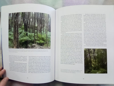 Down The Bay - A Natural & Cultural History of Abel Tasman National Park