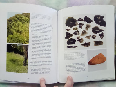 Down The Bay - A Natural & Cultural History of Abel Tasman National Park