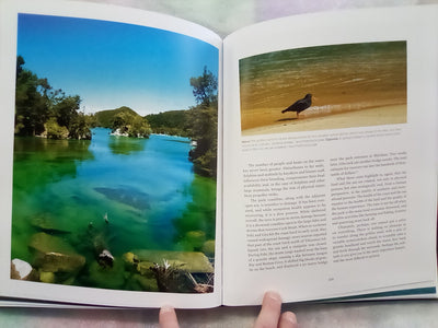 Down The Bay - A Natural & Cultural History of Abel Tasman National Park