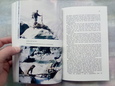 Beneath The Mountain Mist - Tales of Red Deer, Thar, & Chamois by Max Curtis