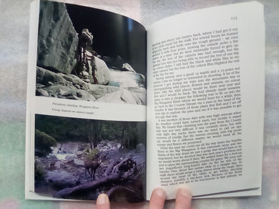 Beneath The Mountain Mist - Tales of Red Deer, Thar, & Chamois by Max Curtis