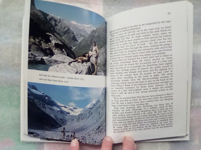 Beneath The Mountain Mist - Tales of Red Deer, Thar, & Chamois by Max Curtis