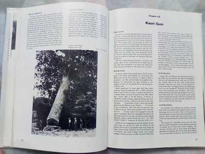 Tairua - A History of the Tairua - Hikuai - Pauanui District by Francis Bennett