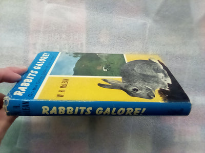 Rabbits Galore - On the Other side of the Fence by W.H. McLean