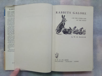 Rabbits Galore - On the Other side of the Fence by W.H. McLean