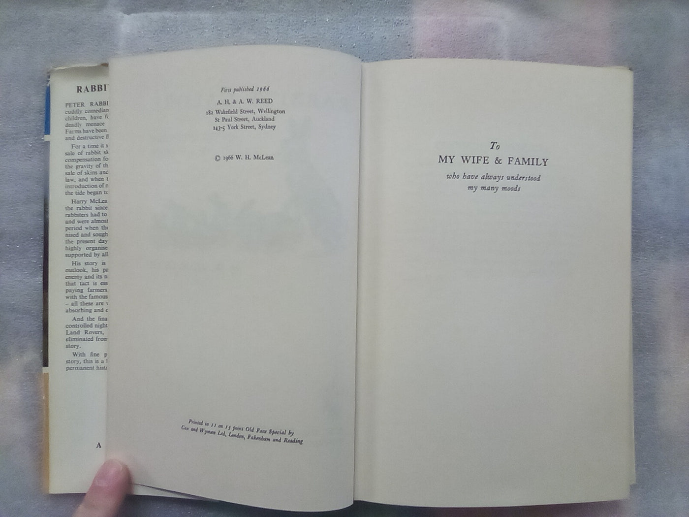 Rabbits Galore - On the Other side of the Fence by W.H. McLean