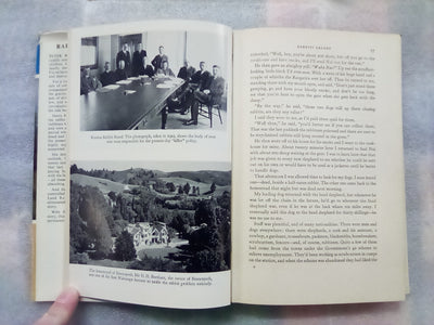 Rabbits Galore - On the Other side of the Fence by W.H. McLean